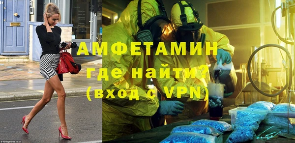 шишки Аркадак