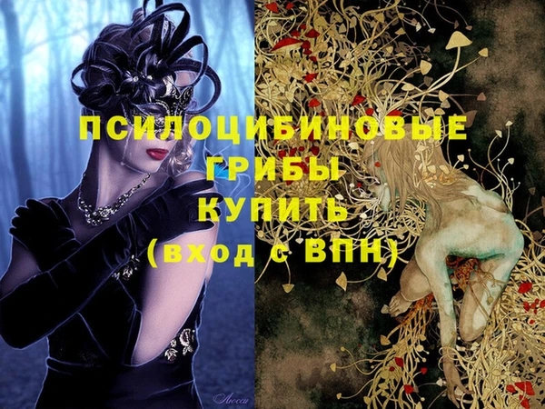 спайс Алексеевка