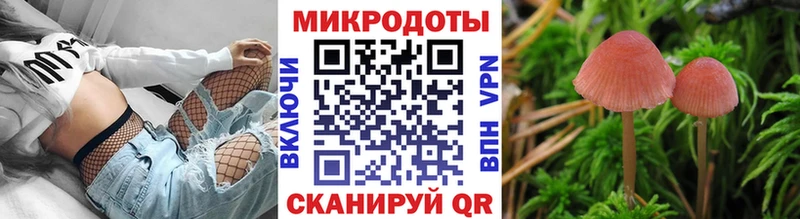 Псилоцибиновые грибы мухоморы закладки Минусинск
